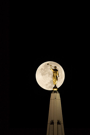 Gilbert Mormon Temple 0043