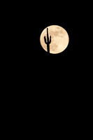 1069-_MG_6013-06-15-2011-VW-FullMoon.CR2