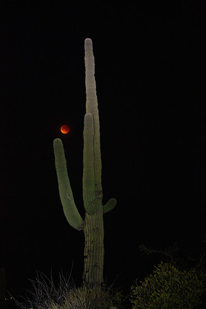 Lunar Eclipse