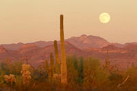 1069-_06V2895-10-11-2011-VW-FullMoonSuperstition.CR2