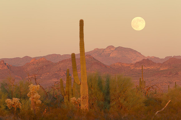1069-_06V2895-10-11-2011-VW-FullMoonSuperstition.CR2