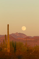1069-_06V2884-10-11-2011-VW-FullMoonSuperstition.CR2