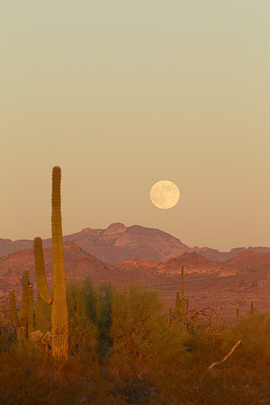 1069-_06V2884-10-11-2011-VW-FullMoonSuperstition.CR2