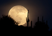 12-20-2010-BAW-fullMoonSaltRiver-_MG_2458.CR2