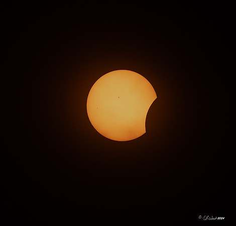 Eclipse_2024_TX_002