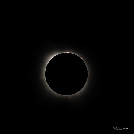 Eclipse_2024_TX_009